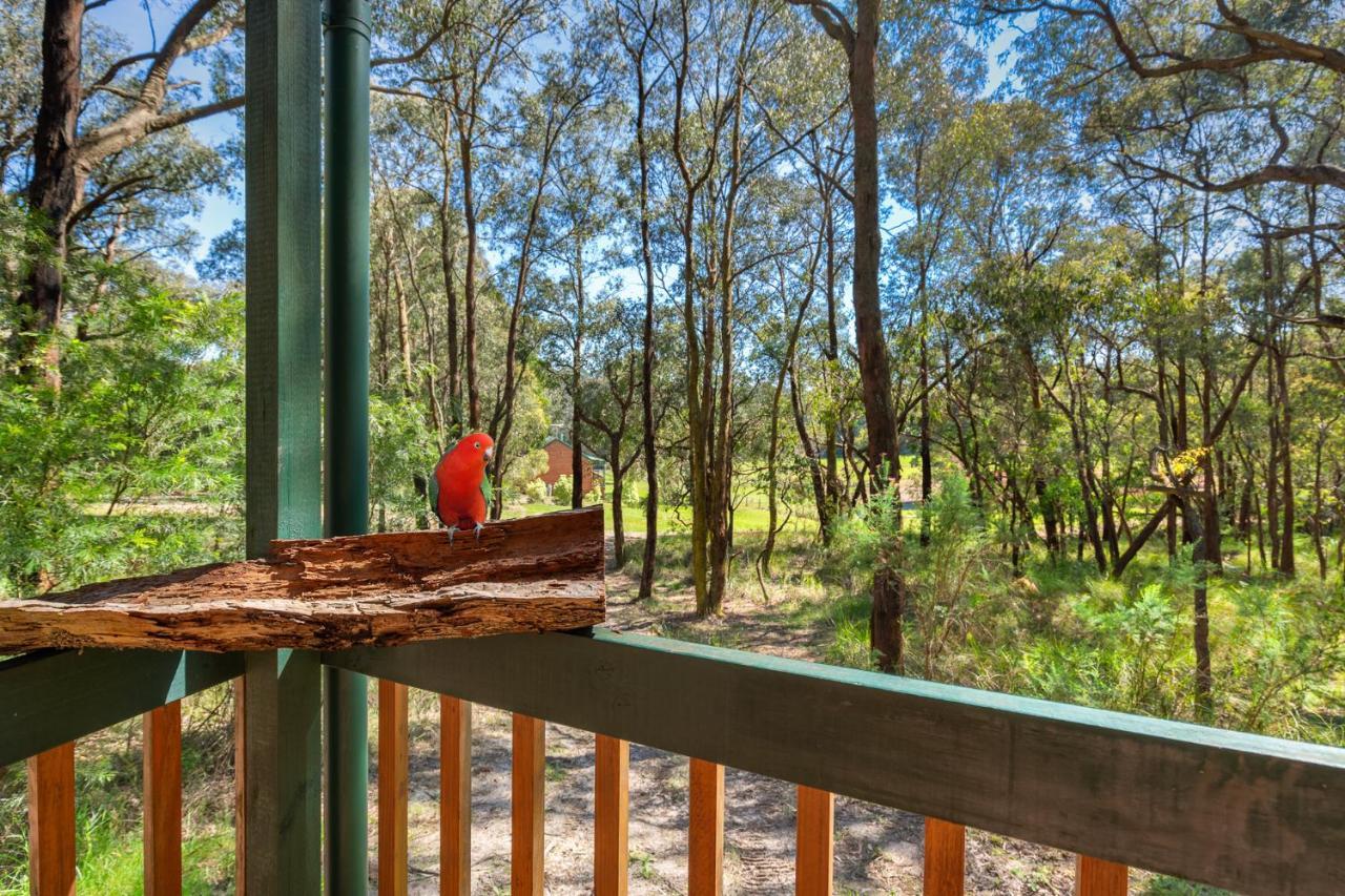 Cockatoo Cottages Esterno foto